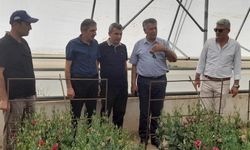 Malatya İl Tarım ve Orman Müdüründen Erbaa’daki Çiçek Seralarını Ziyaret