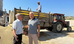 Erbaa’da TMO Buğday Alımları Sona Erdi