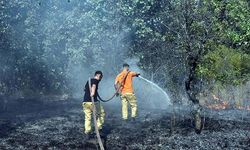 Edirne'de Orman Yangını Meydana Geldi