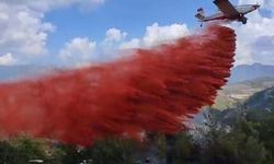 Adana'da İki Mahallede Orman Yangını Çıktı