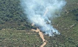 İzmir'de Foça'da Orman Yangını Meydana Geldi