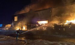 Manisa'da Kimyasal Maddelerin Bulunduğu Geri Dönüşüm Tesisinde Yangın