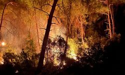 Adana’da  3 Gün Arayla 2'nci Orman Yangını Meydana Geldi