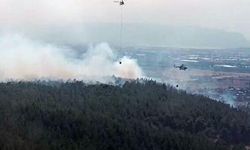 İzmir Gaziemir'de orman yangını meydana geldi