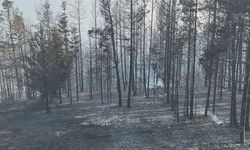 Bolu’da Orman Yangını 22.5 Saatte Kontrol Altına Alındı