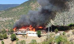 Kastamonu’da 3 Samanlık ve 8 Ev Yandı