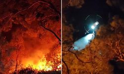 3 Kişinin Öldüğü Menderes'teki Orman Yangınında 260 Hektar Alan Etkilendi