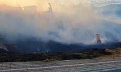 Bandırma'daki Otluk Alanda Çıkan Yangında 80 Dönüm Alan Zarar Gördü