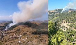 İzmir Karabağlar'da Orman Yangını Meydana Geldi