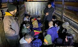 Edirne'de Son Bir Haftada 852 Kaçak Göçmen Yakalandı