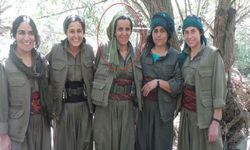 MİT, PKK/KCK'nın Sözde Toplumsal Alan Sorumlusunu Etkisiz Hale Getirdi