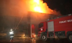 Tokat’ta Kereste Fabrikasında Yangın