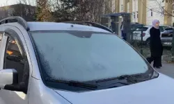 Araçların Camları Buz Tuttu
