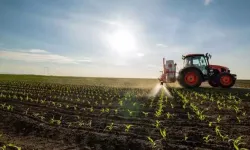 Tarımsal Destekleme Ödemeleri Bugün Çiftçilerin Hesaplarına Aktarılacak