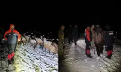 Mahsur Kalan 3 Çoban Ve 3 Bin Küçükbaş, AFAD Tarafından Kurtarıldı