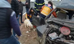 Takla Atan Otomobildeki Köpek, Sahiplerinin Yanından Ayrılmadı
