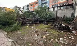 Muğla'da Hortum Çatıları Uçurdu, Ağaç Ve Direkleri Devirdi; O Anlar Kamerada