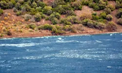 Çanakkale Açıklarında 29 Kaçak Göçmen Yakalandı