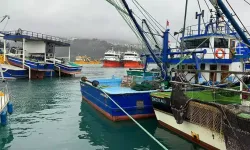 Balıkçı Tekneleri Amasra Limanı’na Demirledi