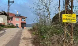 Bartın’da Şap Hastalığı Nedeniyle 12 Köy Karantinaya Alındı