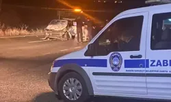 Otomobilin yolda çarptığı 4 at öldü, araçtaki 5 kişi yaralandı