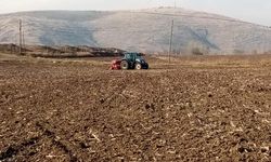 Zile’de Belediye Arazilerine Buğday Ekimi Yapıldı