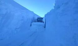 Hakkari'de Kar Kalınlığı 5 Metreyi Buldu