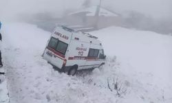 Hasta Taşıyan Ambulans Şarampole Düştü: 6 Yaralı