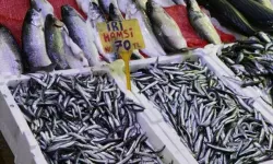 Samsun'da Yılın Son Günü 'Balık' Hareketliği; Hamsi 70 TL