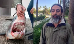 Türk Kara Sularında Köpek Balığı Popülasyonu 50 Yılda Yüzde 90 Azaldı