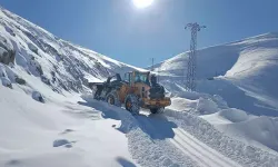 Hakkari'de Kardan Kapanan Yollar Ulaşıma Açıldı