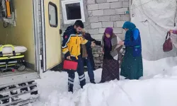 Yolu Kardan Kapanan Mezrada Rahatsızlanan Hamile Kadın, Paletli Ambulansla Alındı