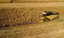 TÜİK: Tarımsal Girdi Fiyat Endeksi Kasımda Arttı
