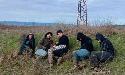 Edirne'de 21 Kaçak Göçmen Yakalandı