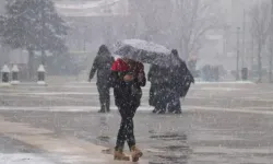 Gaziantep'e Mevsimin İlk Karı Yağdı