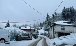 Bartın'da 35 Köy Yolu Kardan Kapandı