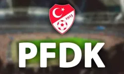 Fenerbahçe Sportif Direktörü Mario Branco, PFDK'ya sevk edildi