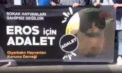 Diyarbakır’da Hayvanseverler ‘Eros’u Öldüren Kişinin Ceza Alması İçin Toplandı