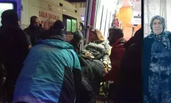 Van'da Çığın Sürüklediği Minibüste Yaralanan 12 Kişi Taburcu Oldu