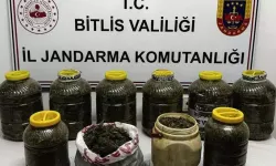 Bitlis'te, Otomobilde 11 Kilo Skunk Ele Geçirildi