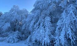 Erbaa’da Yüksek Kesimlerde Kar Kalınlığı 20 Santimetreye Ulaştı