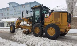 Van'da Kar Yağışı; 257 Yerleşim Yeri Ulaşıma Kapandı, Başkale’de Okullar Tatil Edildi