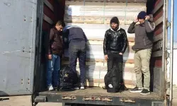 Edirne'de 1 haftada 232 kaçak göçmen ve 11 organizatör yakalandı