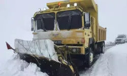 Elazığ’da 5 Köy Yolu Kardan Kapandı