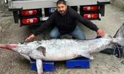 Avladığı 3 Metre Boyundaki 150 Kiloluk Kılıç Balığını 30 Bin TL'ye Sattı