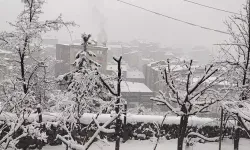 Hakkari'de Kar Yağışı