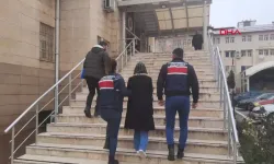 Şırnak'ta seçimlere müdahale için gönderilen PKK'lı terörist yakalandı