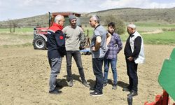 Tokat'ta Nohut Üretimi Artacak: Tarım Bakanlığı'nın Desteğiyle Yeni Proje Hayata Geçirildi