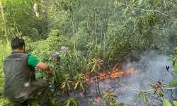 Yakılan Ateş Ormana Sıçradı, 5 Dönüm Alan Yandı
