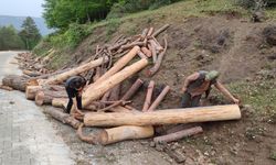 Erbaa’da Ormanlarını Gençleştirme ve Üretim Çalışmaları Devam Ediyor